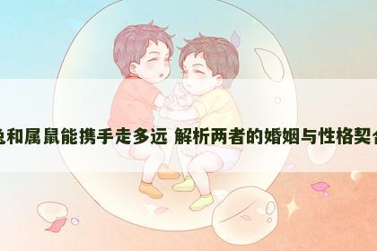 属兔和属鼠能携手走多远 解析两者的婚姻与性格契合度