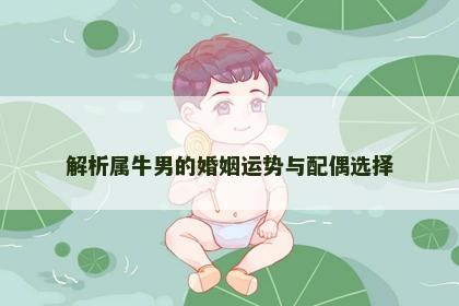 解析属牛男的婚姻运势与配偶选择