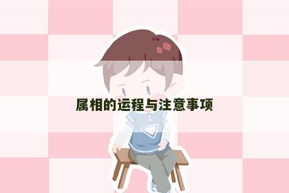 属相的运程与注意事项