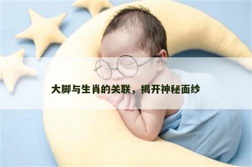 大脚与生肖的关联，揭开神秘面纱