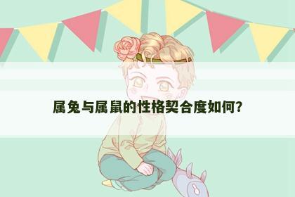 属兔与属鼠的性格契合度如何？