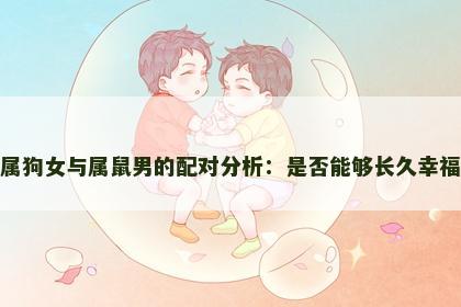 属狗女与属鼠男的配对分析：是否能够长久幸福