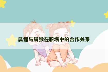 属猪与属猴在职场中的合作关系