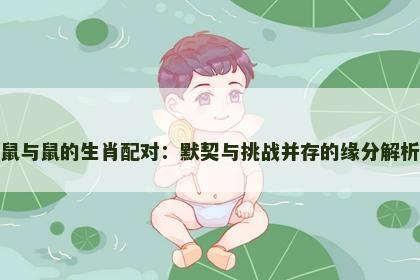 鼠与鼠的生肖配对：默契与挑战并存的缘分解析