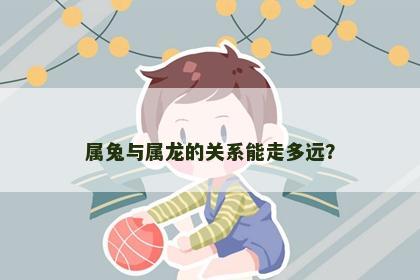 属兔与属龙的关系能走多远？