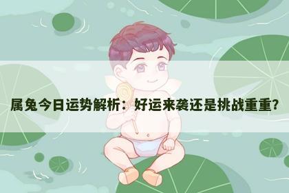 属兔今日运势解析：好运来袭还是挑战重重？