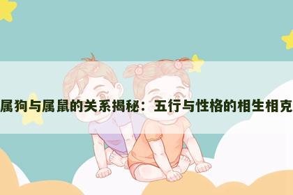 属狗与属鼠的关系揭秘：五行与性格的相生相克