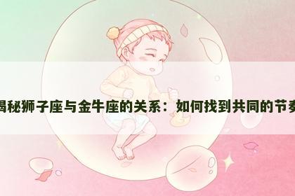 揭秘狮子座与金牛座的关系：如何找到共同的节奏