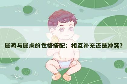 属鸡与属虎的性格搭配：相互补充还是冲突？