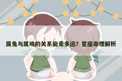 属兔与属鸡的关系能走多远？星座命理解析