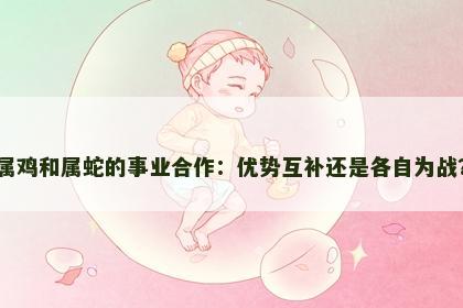 属鸡和属蛇的事业合作：优势互补还是各自为战？