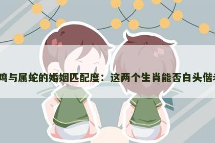 属鸡与属蛇的婚姻匹配度：这两个生肖能否白头偕老？