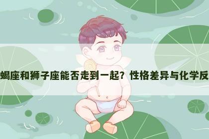 天蝎座和狮子座能否走到一起？性格差异与化学反应