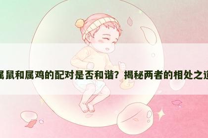 属鼠和属鸡的配对是否和谐？揭秘两者的相处之道