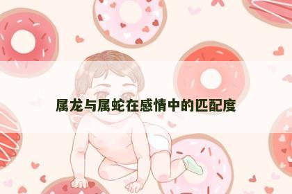 属龙与属蛇在感情中的匹配度