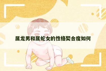 属龙男和属蛇女的性格契合度如何