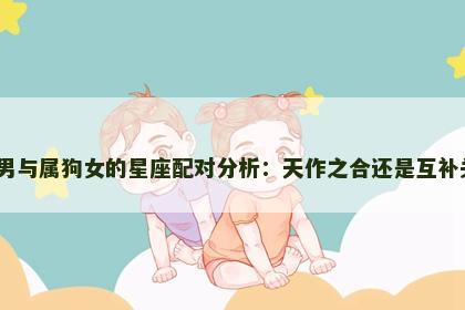 属猴男与属狗女的星座配对分析：天作之合还是互补关系？