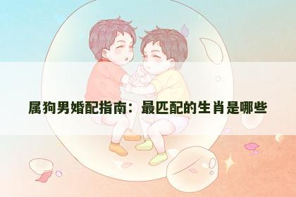 属狗男婚配指南：最匹配的生肖是哪些