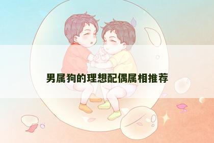 男属狗的理想配偶属相推荐