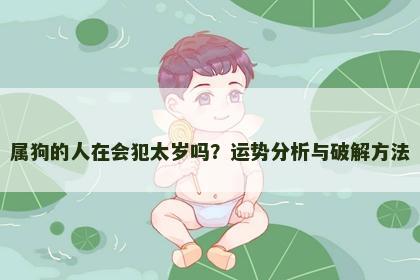 属狗的人在会犯太岁吗？运势分析与破解方法