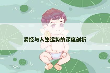 易经与人生运势的深度剖析