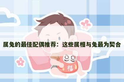 属兔的最佳配偶推荐：这些属相与兔最为契合
