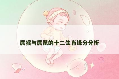 属猴与属鼠的十二生肖缘分分析