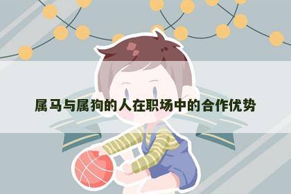 属马与属狗的人在职场中的合作优势