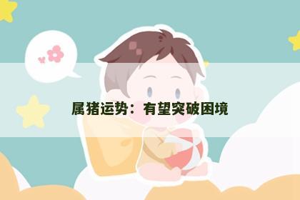 属猪运势：有望突破困境