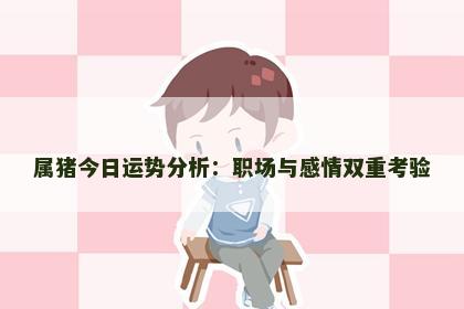 属猪今日运势分析：职场与感情双重考验