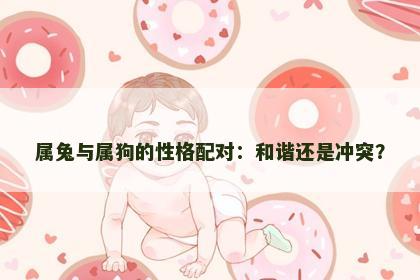 属兔与属狗的性格配对：和谐还是冲突？