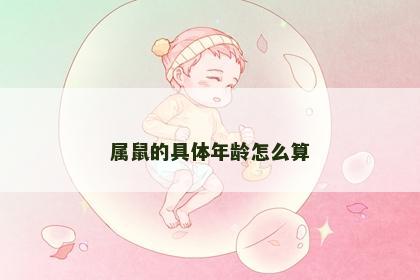 属鼠的具体年龄怎么算