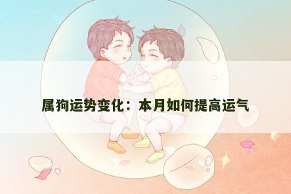属狗运势变化：本月如何提高运气