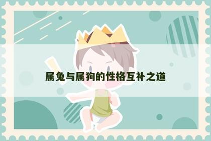 属兔与属狗的性格互补之道