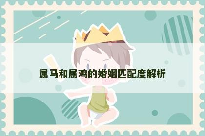 属马和属鸡的婚姻匹配度解析