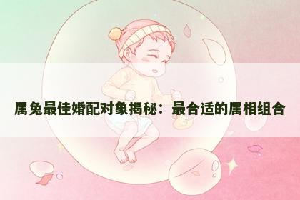 属兔最佳婚配对象揭秘：最合适的属相组合