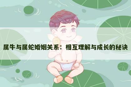 属牛与属蛇婚姻关系：相互理解与成长的秘诀