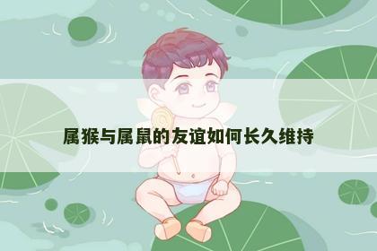 属猴与属鼠的友谊如何长久维持