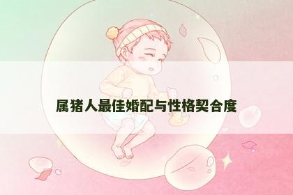 属猪人最佳婚配与性格契合度