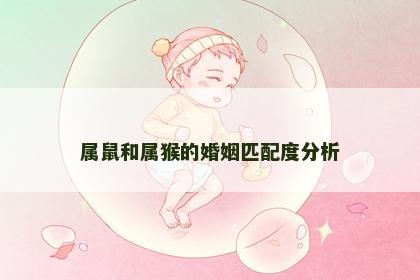 属鼠和属猴的婚姻匹配度分析