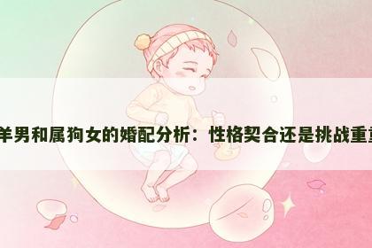 属羊男和属狗女的婚配分析：性格契合还是挑战重重？