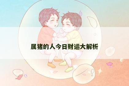 属猪的人今日财运大解析
