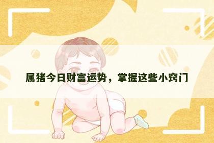 属猪今日财富运势，掌握这些小窍门
