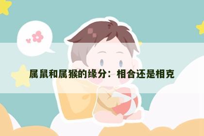 属鼠和属猴的缘分：相合还是相克