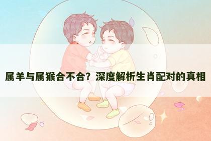 属羊与属猴合不合？深度解析生肖配对的真相