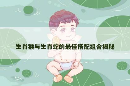 生肖猴与生肖蛇的最佳搭配组合揭秘