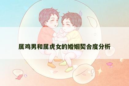 属鸡男和属虎女的婚姻契合度分析