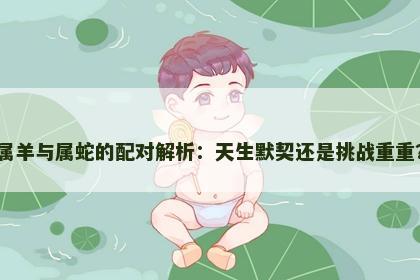 属羊与属蛇的配对解析：天生默契还是挑战重重？