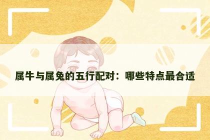 属牛与属兔的五行配对：哪些特点最合适