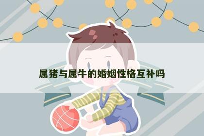 属猪与属牛的婚姻性格互补吗